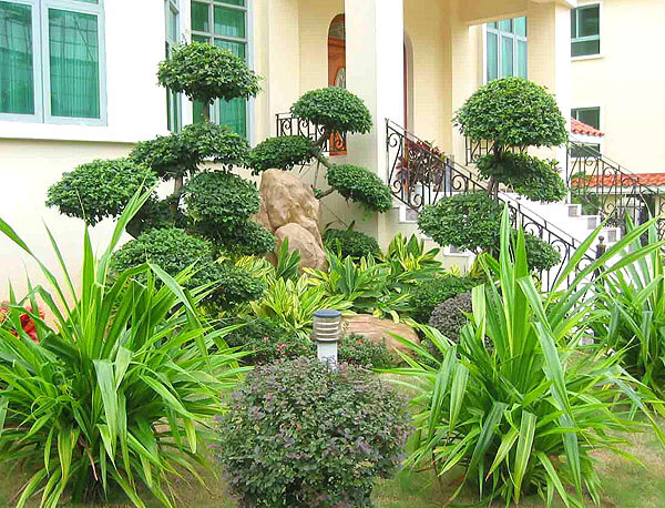 園林綠化設(shè)計公司應(yīng)遵循哪些地方性設(shè)計原則？